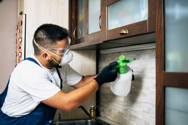 Best Affordable Pest Control Services  in Blue Ridge, GA