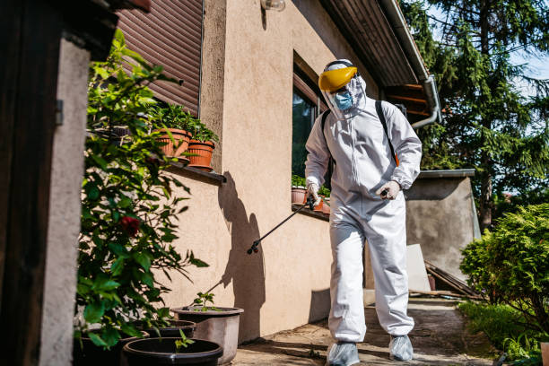 Best Residential Pest Control  in Blue Ridge, GA