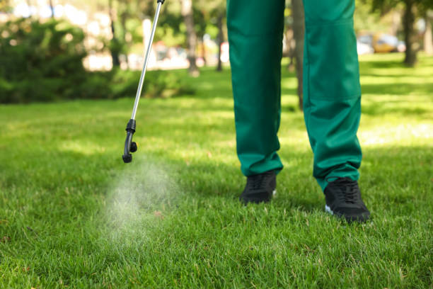 Best Pest Control for Restaurants  in Blue Ridge, GA