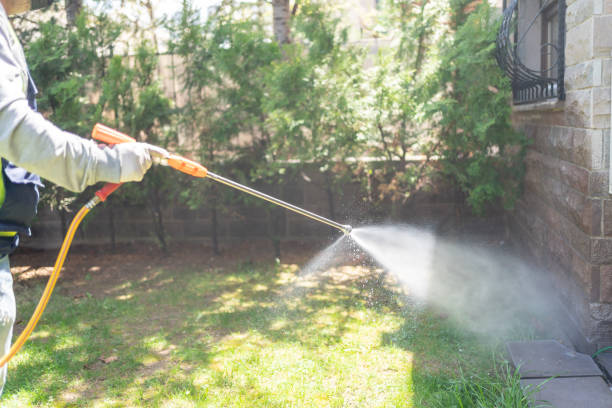 Pest Control Cost in Blue Ridge, GA