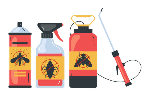 Best Local Pest Control Services  in Blue Ridge, GA